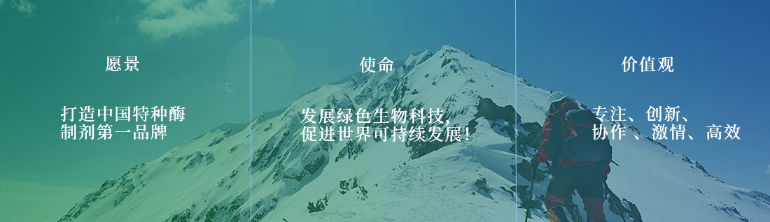 1667354069107514.jpg about2.jpg