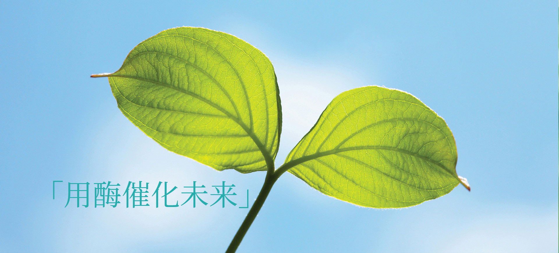 用酶催化未来！